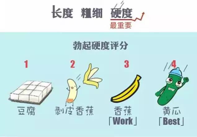 阴茎长度