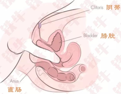 女生最易高潮体位