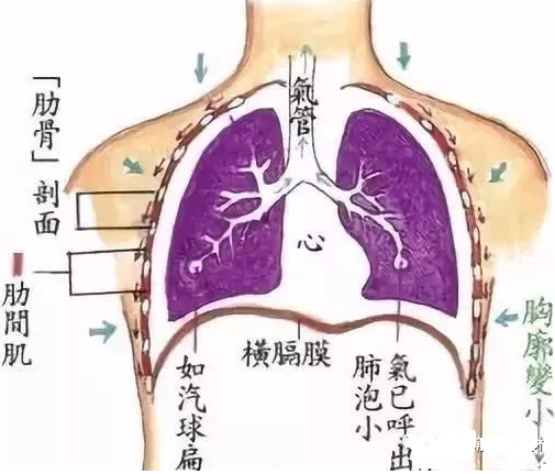 腹式呼吸