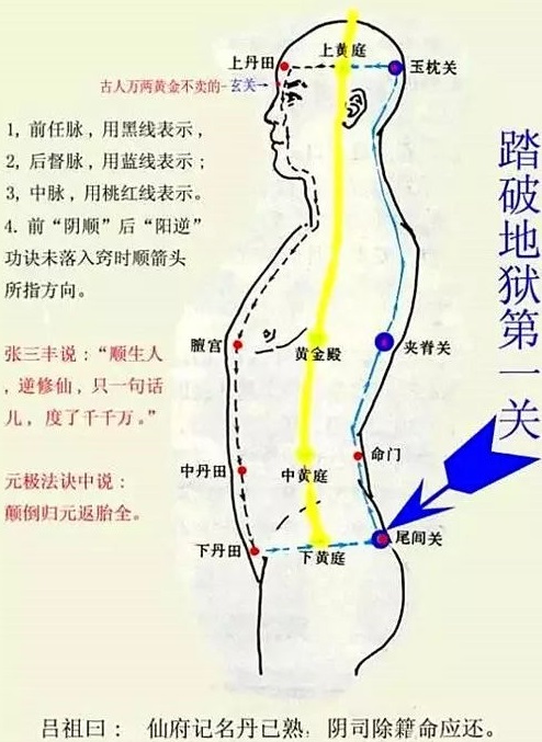 戒淫，是超脱轮回的根本