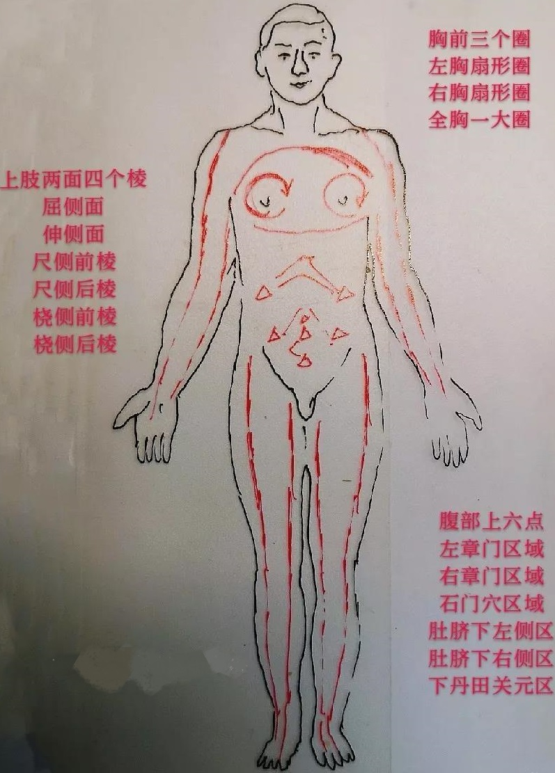 洗髓拍打棒的用法