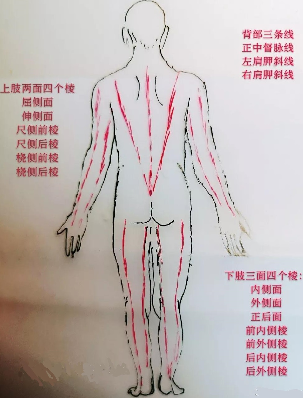 洗髓拍打棒的用法
