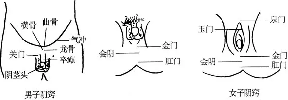 阴跷种阳