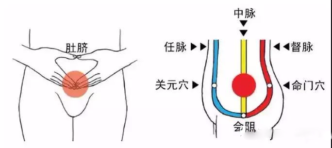 丹田的位置